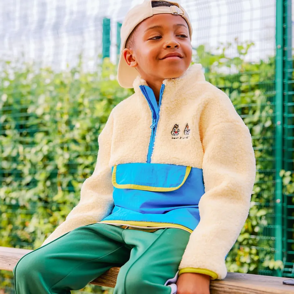 Chip 'n Dale 1/4 Zip Pullover Jacket for Kids