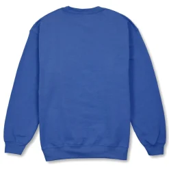 Cinderella Embroidered Pullover Sweatshirt for Women