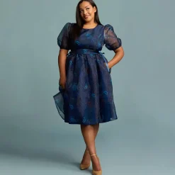 Disneyland 70th Anniversary Dress for Women by Her Universe