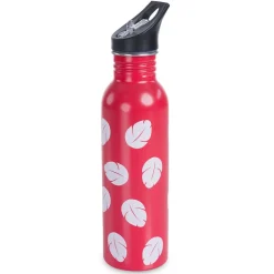 Lilo & Stitch Stainless Steel Water Bottle with Cooler Set