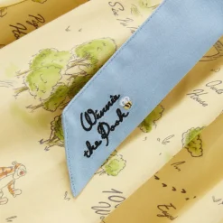 Winnie the Pooh Dress for Women