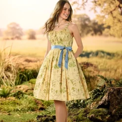 Winnie the Pooh Dress for Women